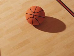 楓木運動地板_體育地板